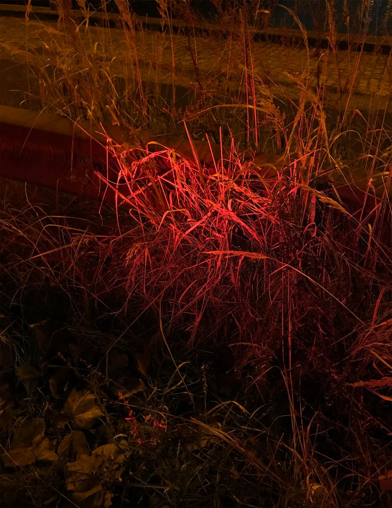 © Ans Brys - Image from the I'm Hungry photography project