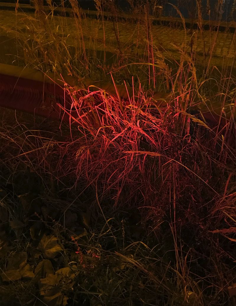 © Ans Brys - Image from the I'm Hungry photography project