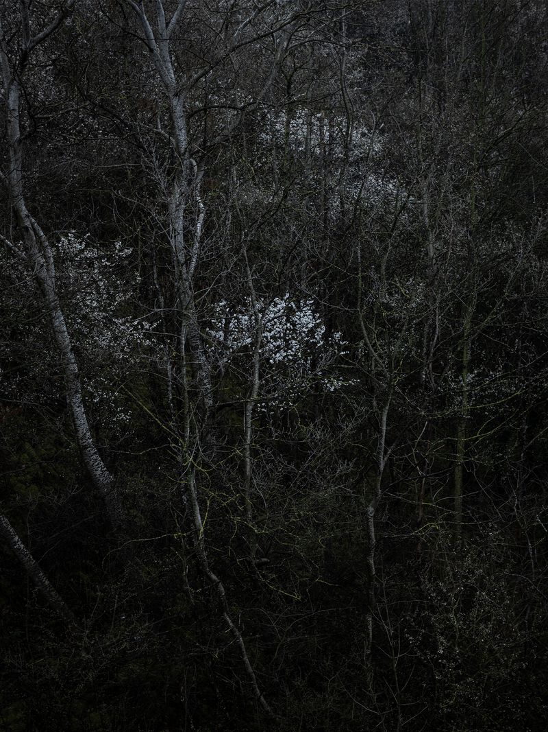 © Ans Brys - Image from the I'm Hungry photography project