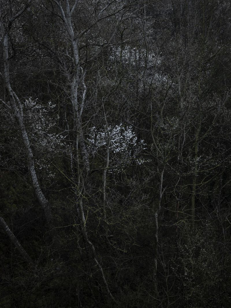 © Ans Brys - Image from the I'm Hungry photography project