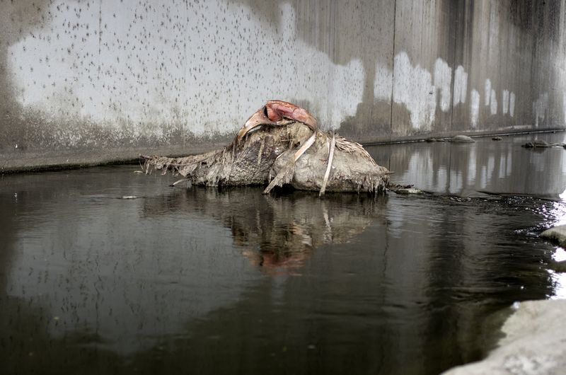 © Avital Oehler - Image from the SOMEHOW WE WANDERED INTO THE FUTURE photography project