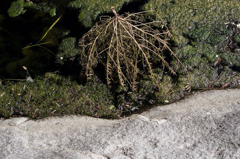 © Avital Oehler - Image from the SOMEHOW WE WANDERED INTO THE FUTURE photography project