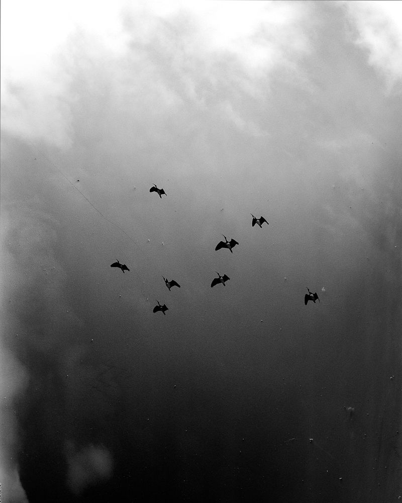 © Morganna Magee - Image from the Extraordinary experiences photography project