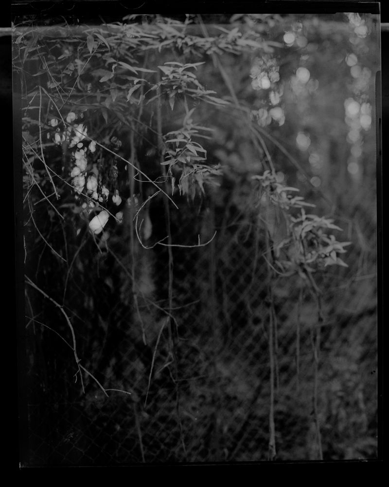 © Morganna Magee - Image from the Extraordinary experiences photography project