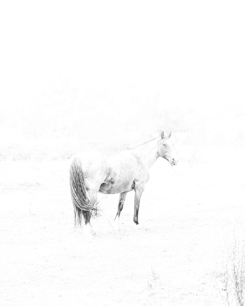 © Morganna Magee - Image from the Extraordinary experiences photography project