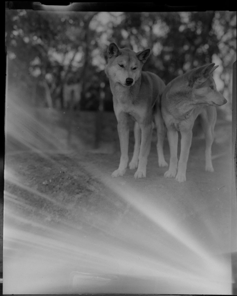 © Morganna Magee - Image from the Extraordinary experiences photography project