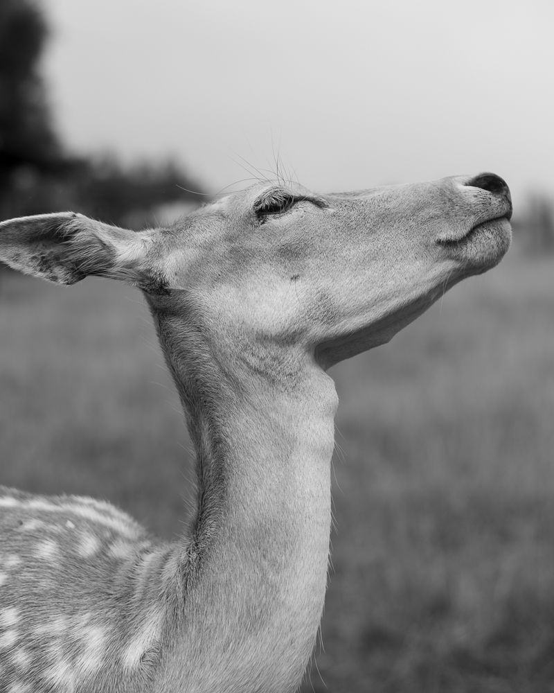 © Morganna Magee - Image from the Extraordinary experiences photography project