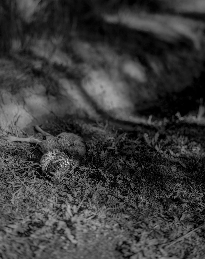 © Morganna Magee - Image from the Extraordinary experiences photography project