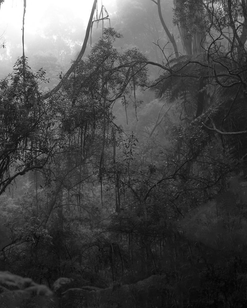 © Morganna Magee - Image from the Extraordinary experiences photography project