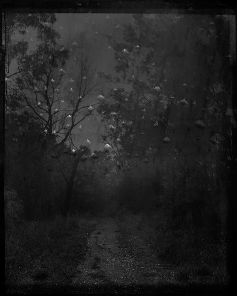 © Morganna Magee - Image from the Extraordinary experiences photography project