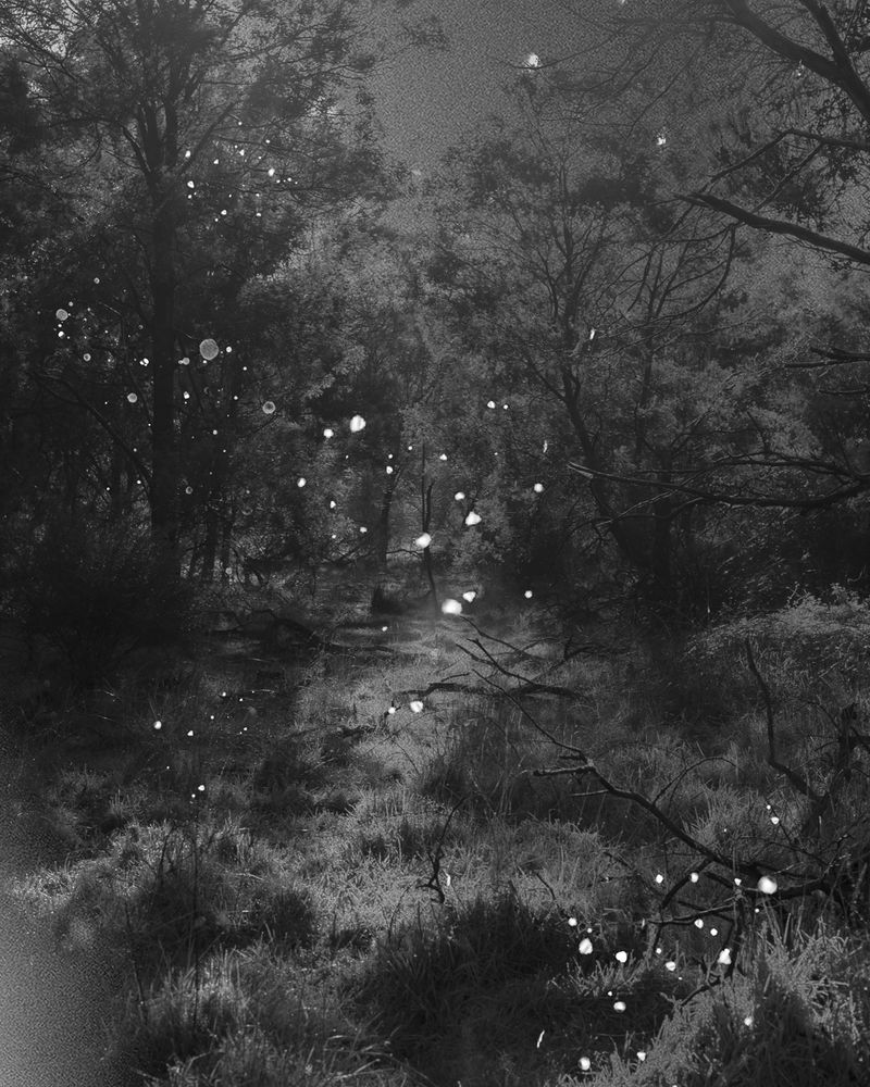 © Morganna Magee - Image from the Extraordinary experiences photography project