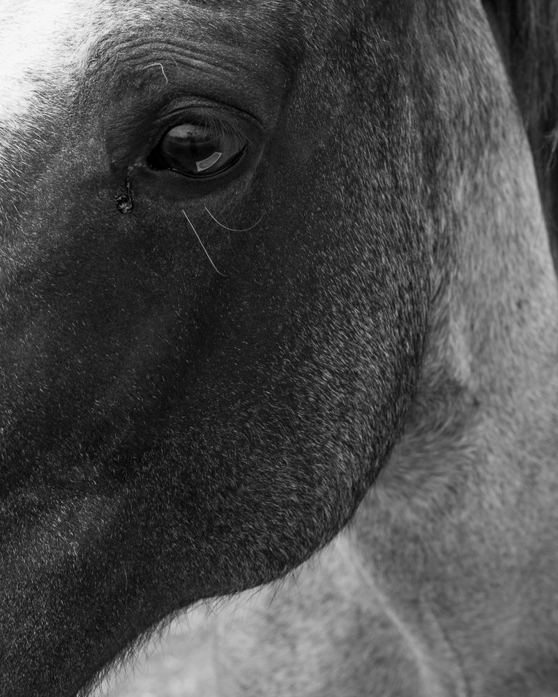 © Morganna Magee - Image from the Extraordinary experiences photography project