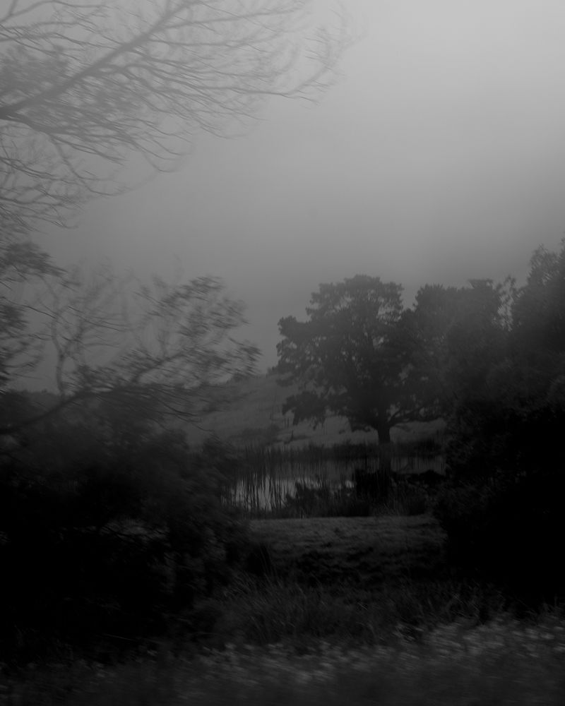 © Morganna Magee - Image from the Extraordinary experiences photography project