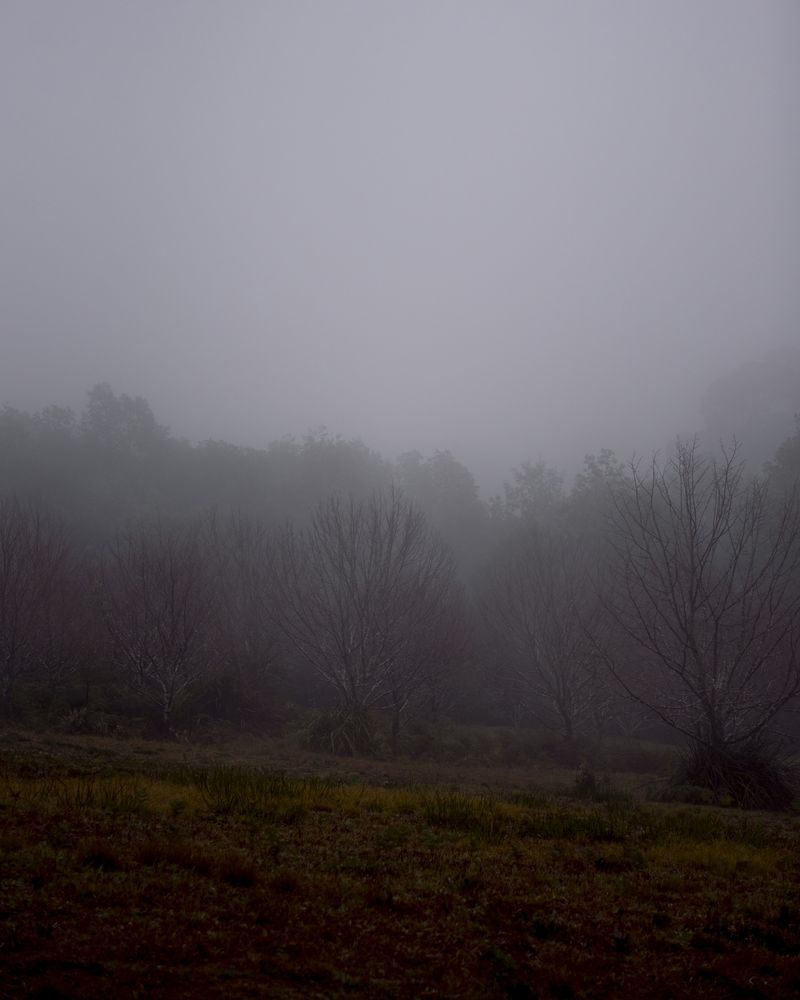 © Morganna Magee - Image from the All the things unsaid photography project