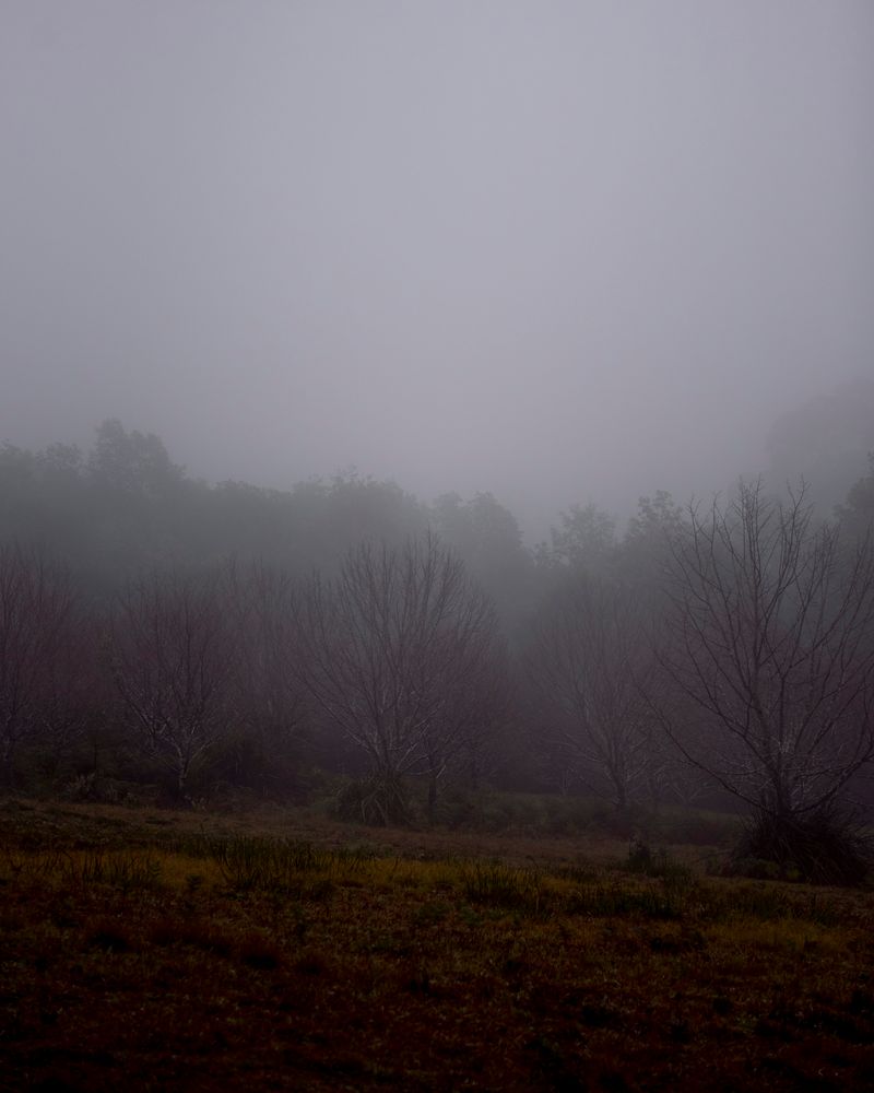 © Morganna Magee - Image from the All the things unsaid photography project