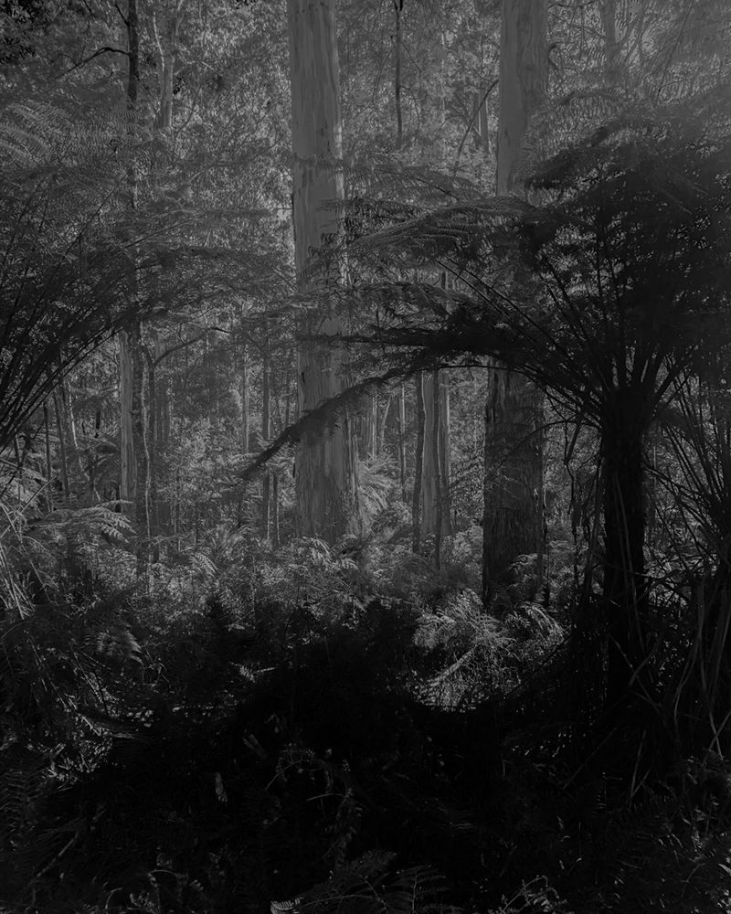 © Morganna Magee - Image from the All the things unsaid photography project