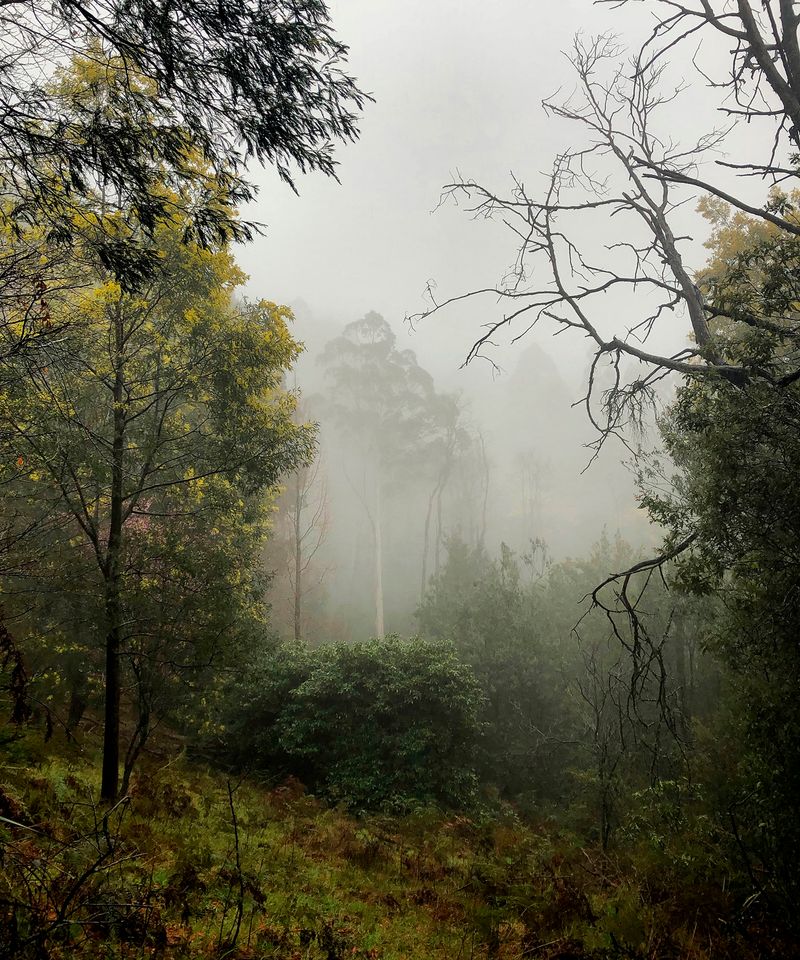 © Morganna Magee - Image from the All the things unsaid photography project