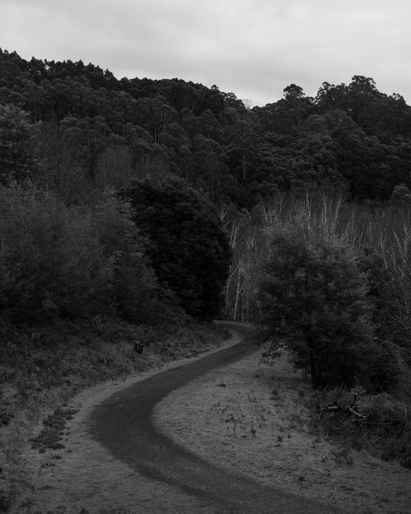 © Morganna Magee - Image from the All the things unsaid photography project