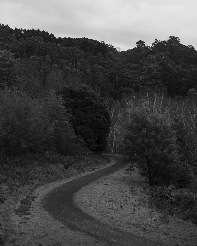 © Morganna Magee - Image from the All the things unsaid photography project
