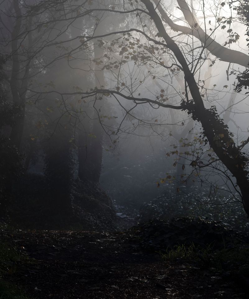 © Morganna Magee - Image from the All the things unsaid photography project