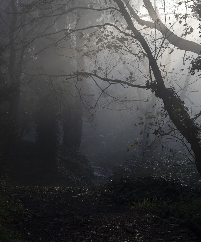 © Morganna Magee - Image from the All the things unsaid photography project