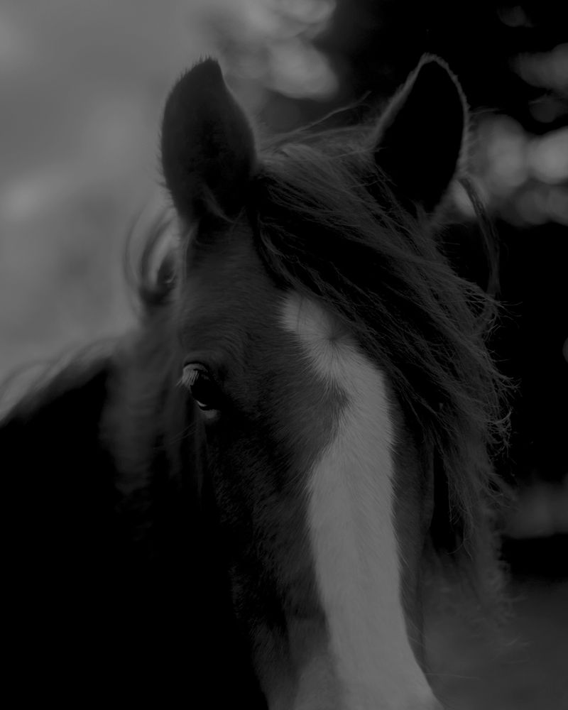 © Morganna Magee - Image from the All the things unsaid photography project