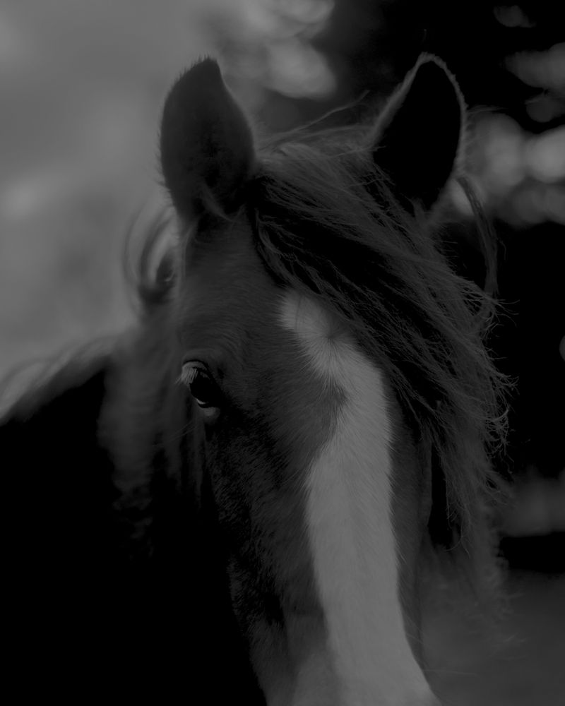 © Morganna Magee - Image from the All the things unsaid photography project