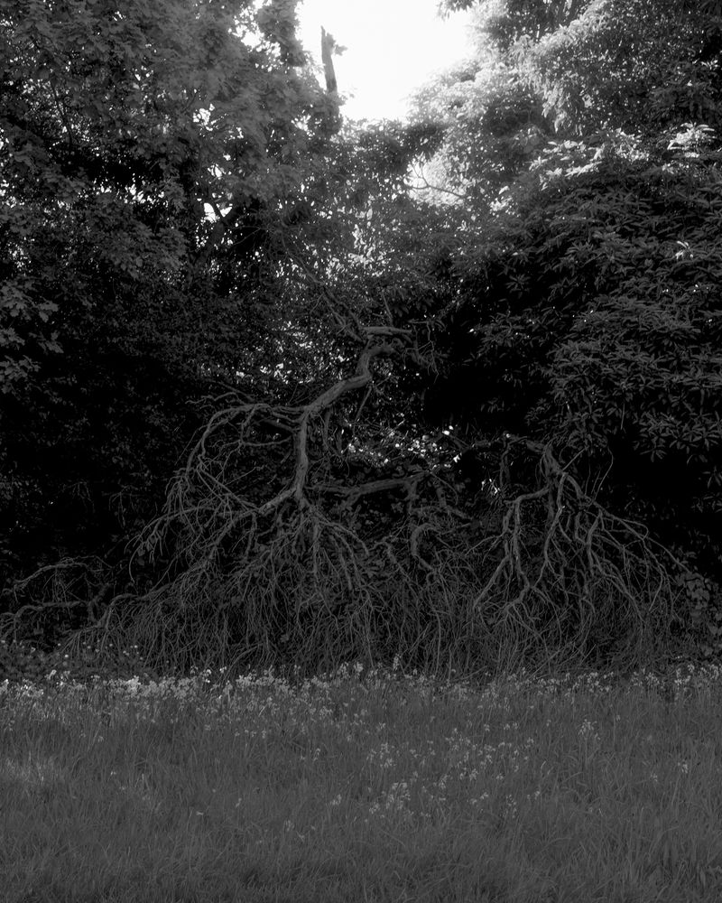 © Morganna Magee - Image from the All the things unsaid photography project