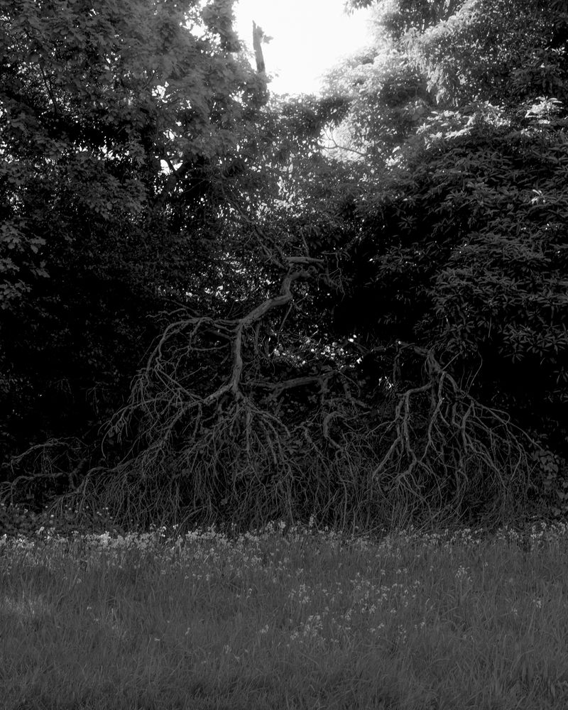 © Morganna Magee - Image from the All the things unsaid photography project