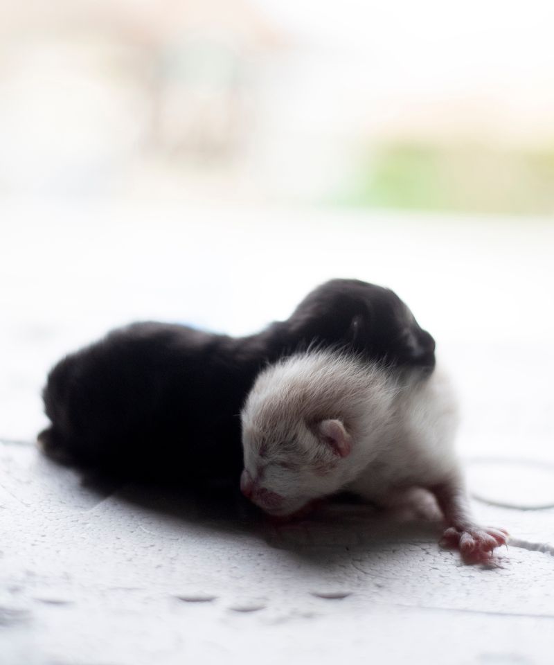 © Morganna Magee - Image from the All the things unsaid photography project