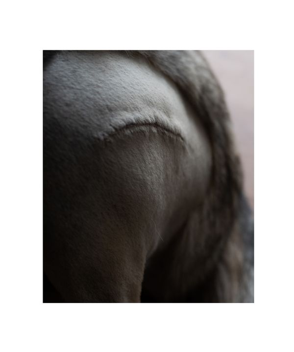 © Morganna Magee - Image from the All the things unsaid photography project