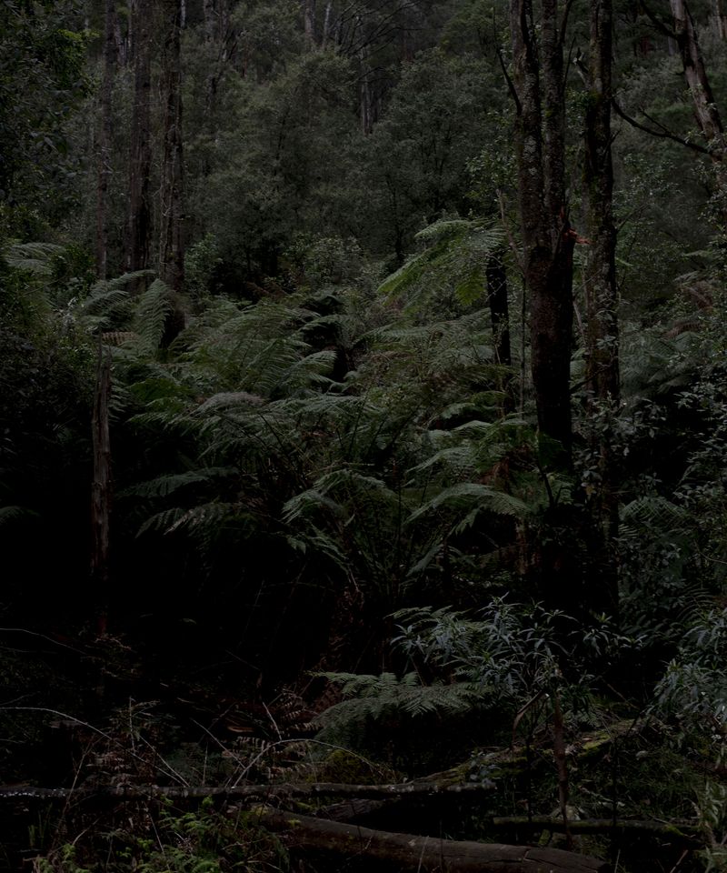 © Morganna Magee - Image from the All the things unsaid photography project