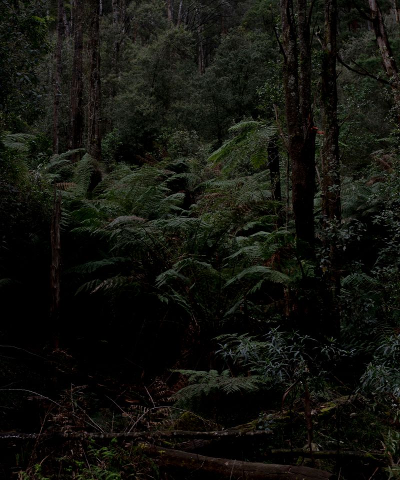 © Morganna Magee - Image from the All the things unsaid photography project