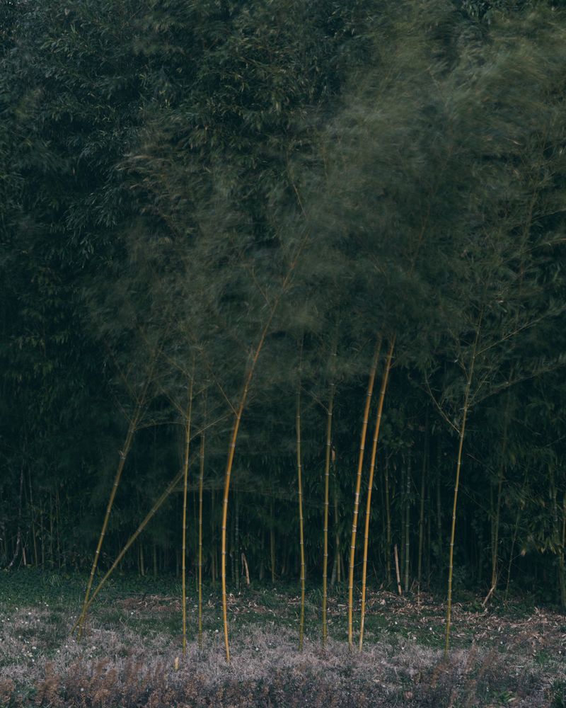 © Simone Padelli - Image from the The Silent Season photography project