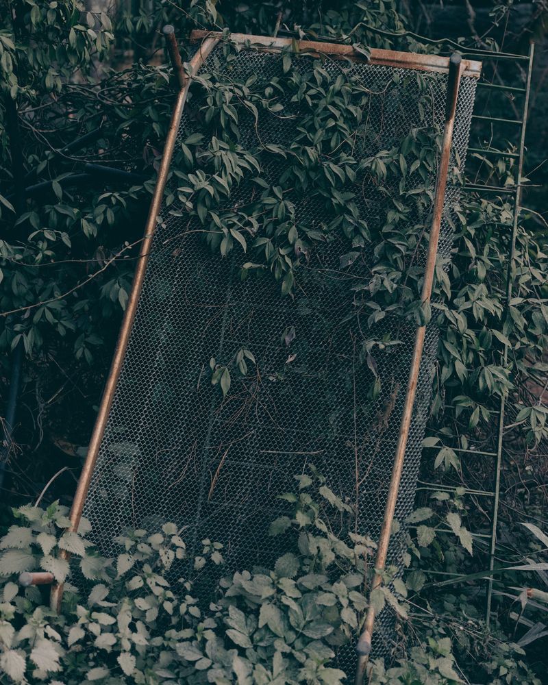 © Simone Padelli - Image from the The Silent Season photography project