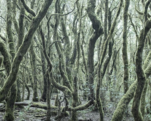 © Fernando Maselli - Image from the Hierophanies photography project