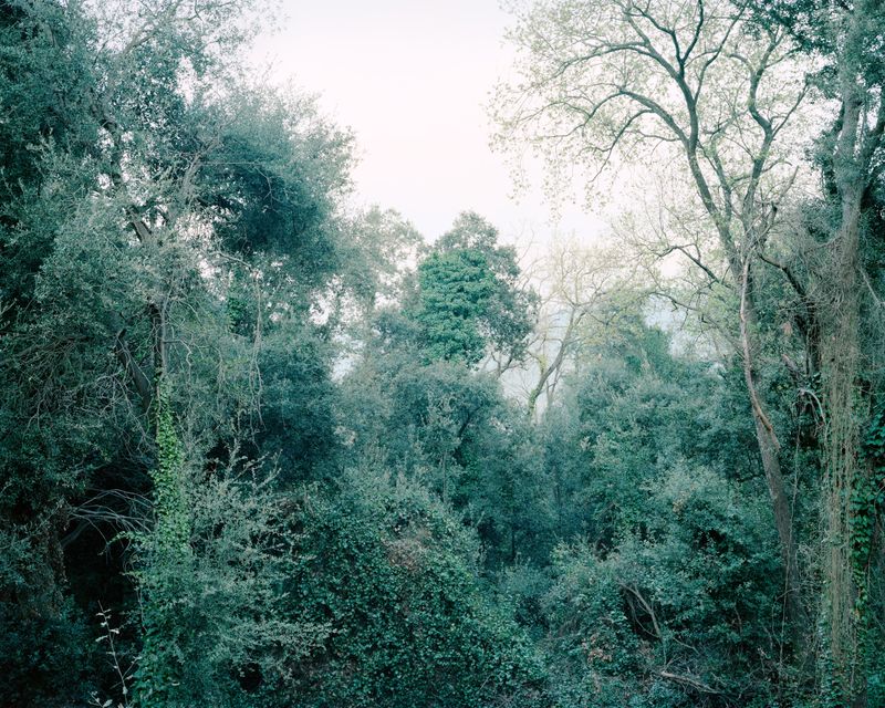 © Fernando Maselli - Image from the Hierophanies photography project