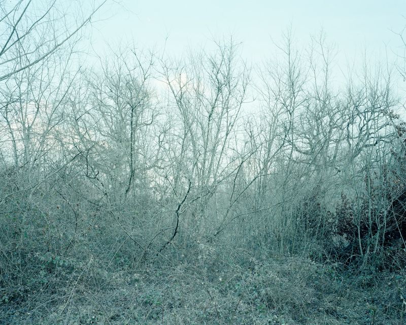 © Fernando Maselli - Image from the Hierophanies photography project