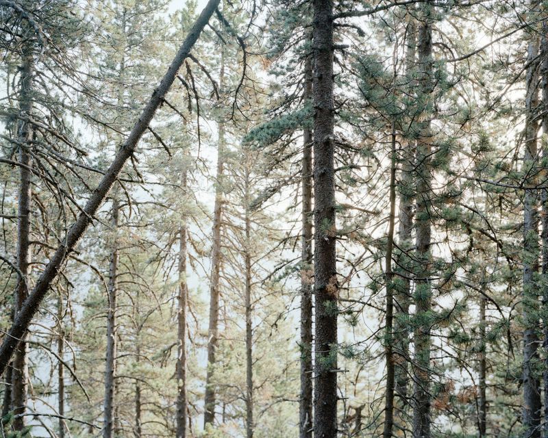 © Fernando Maselli - Image from the Hierophanies photography project