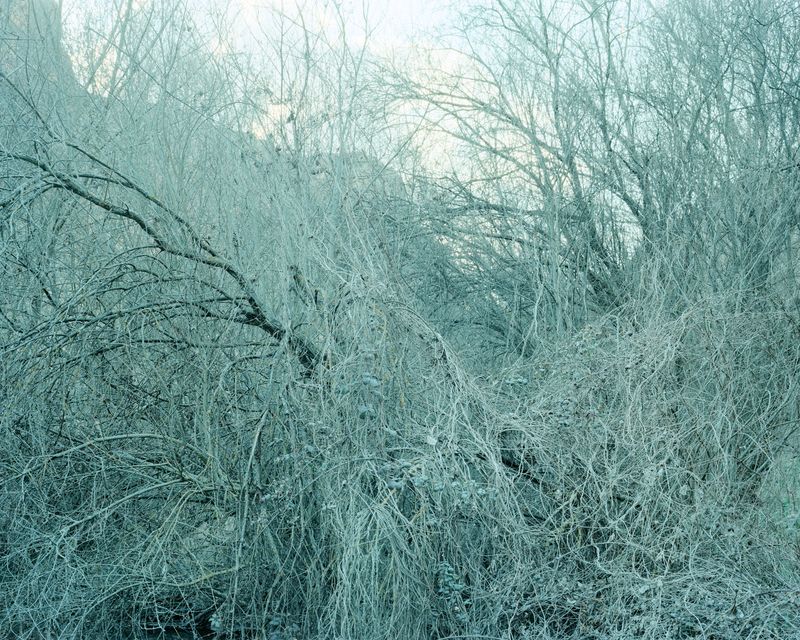 © Fernando Maselli - Image from the Hierophanies photography project