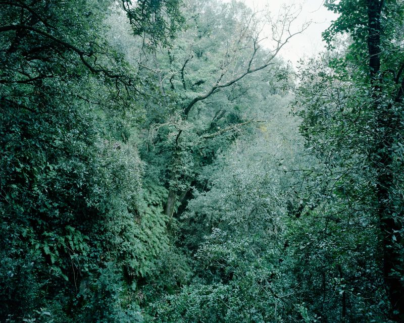 © Fernando Maselli - Image from the Hierophanies photography project