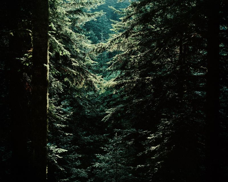 © Fernando Maselli - Image from the Hierophanies photography project