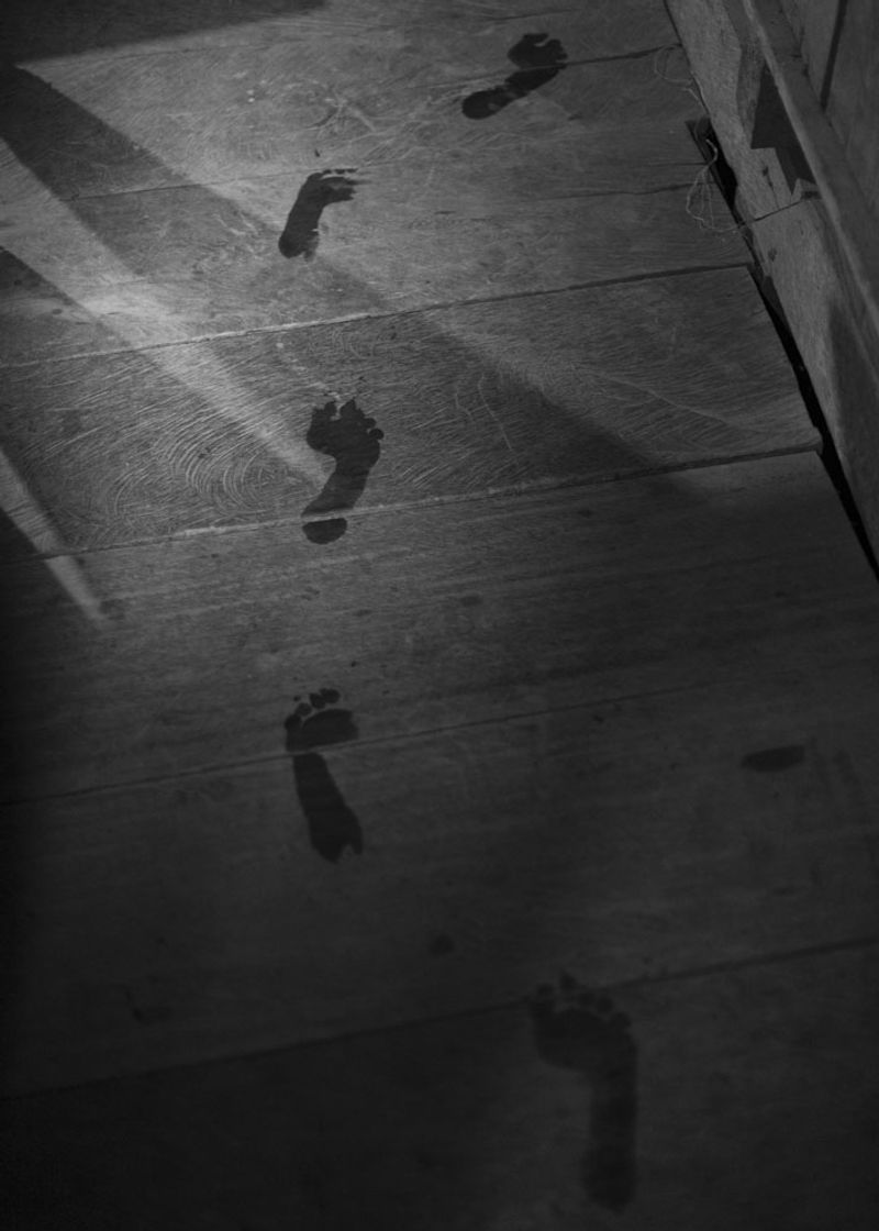 © Daniela Beltran B. - Water footprints on wooden floor.