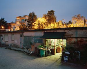 Olim Palus : a new city