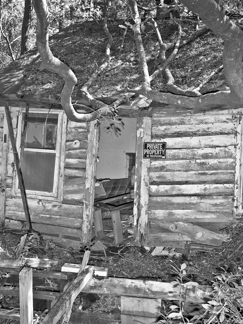 © Bryan Anselm - Image from the Between the Wood and Tide photography project
