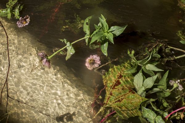 © Bryan Anselm - Image from the Between the Wood and Tide photography project
