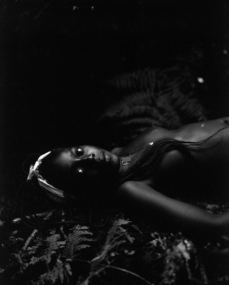 © Selina Mayer - Image from the The Forest photography project