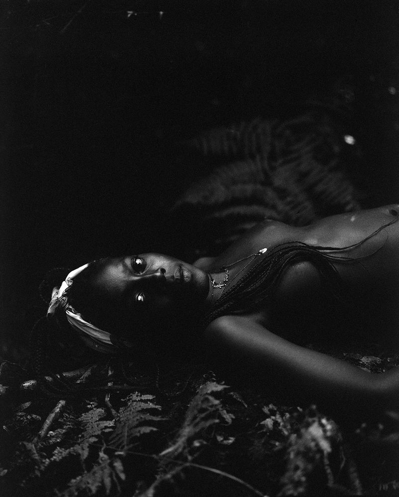 © Selina Mayer - Image from the The Forest photography project