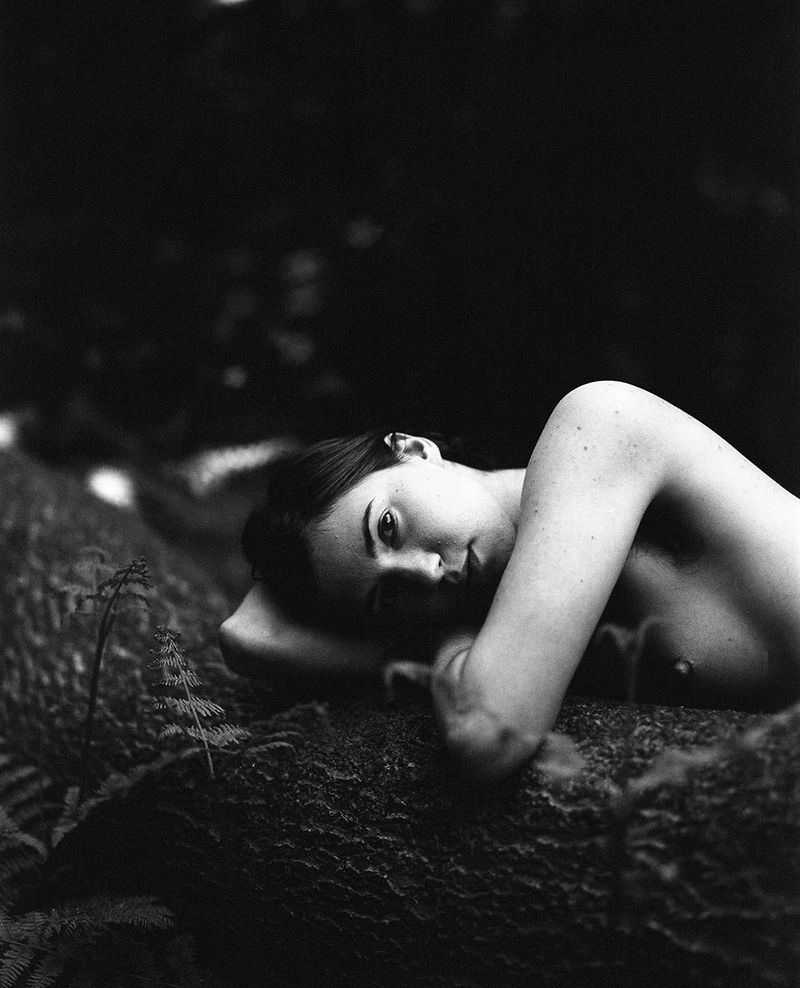 © Selina Mayer - Image from the The Forest photography project