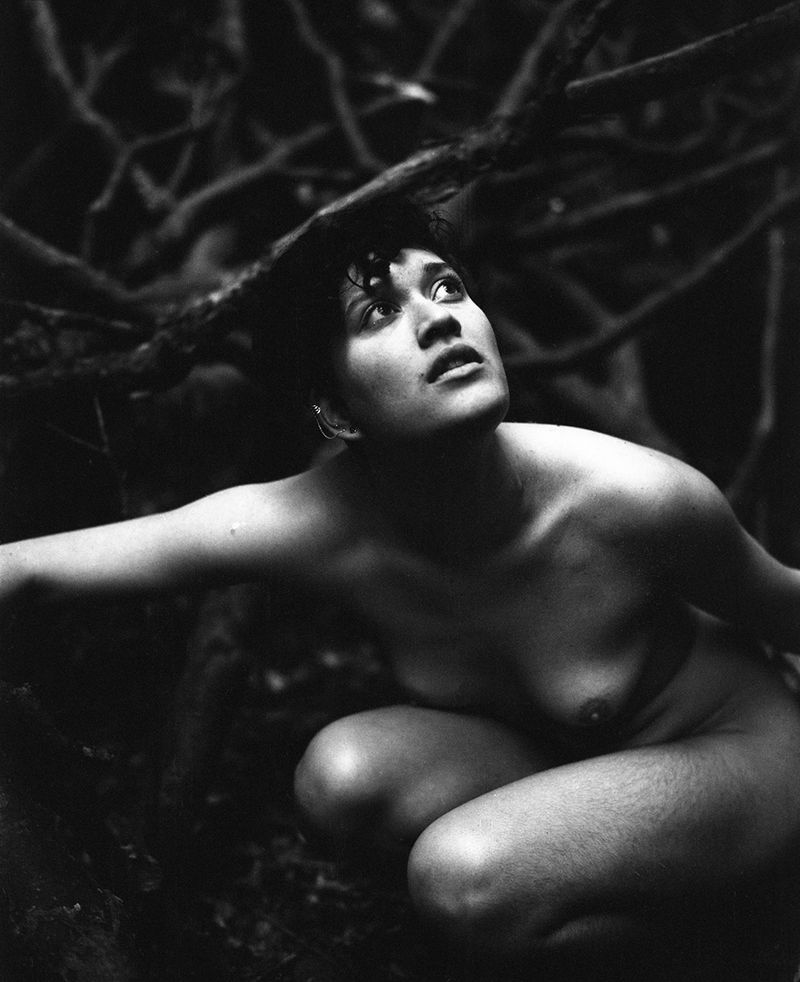 © Selina Mayer - Image from the The Forest photography project
